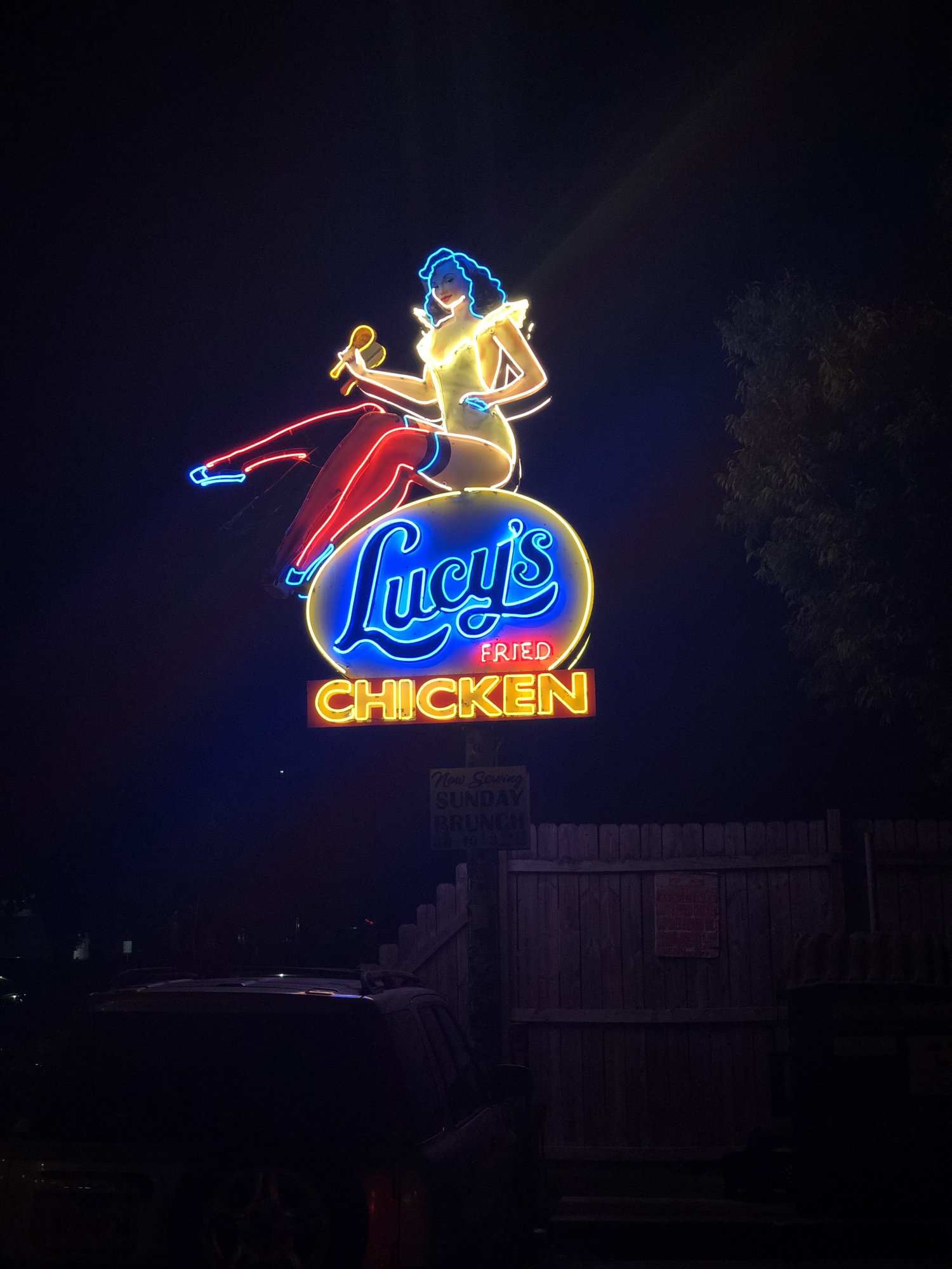 lucys-fried-chicken-austin-food-restaurant-review